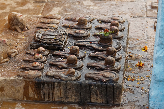 Varasani-Promenade sur le Gange-085